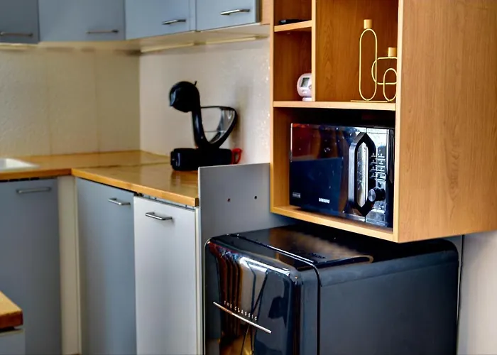 Apartament Ultracentral Cozy On Calea Victoriei With Amazing View *